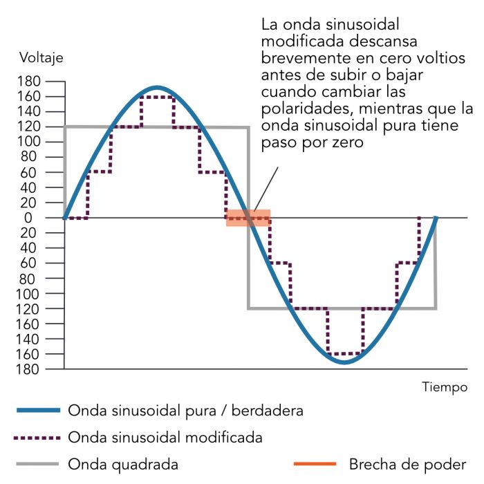 wave_forms_sp_22.08.24_4.jpg